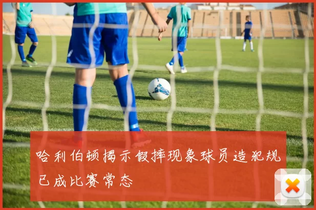 哈利伯顿揭示假摔现象球员造犯规已成比赛常态