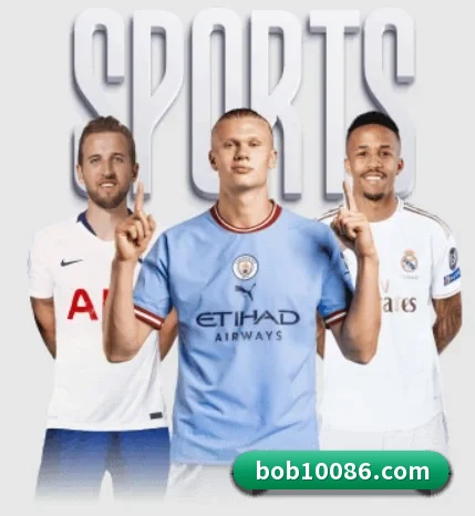 BOB平台的方向 - 长期内容价值积累 - BOBSports